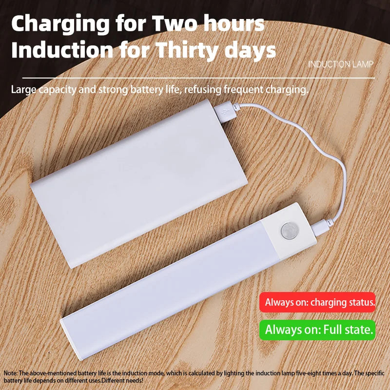 Motion Sensor Night Light – USB Rechargeable